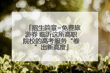 招生简章=免费旅游券 临沂这所高职院校的高考服务“卷”出新高度