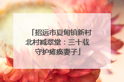 招远市夏甸镇新村北村臧翠堂：三十载守护瘫痪妻子