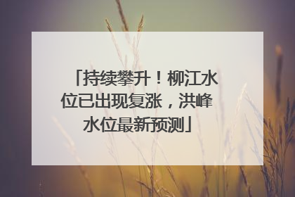 持续攀升！柳江水位已出现复涨，洪峰水位最新预测