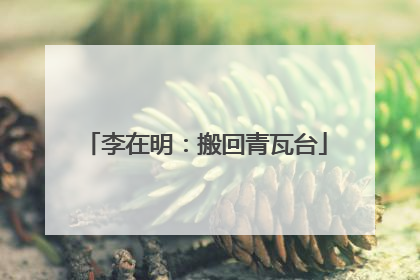 李在明：搬回青瓦台