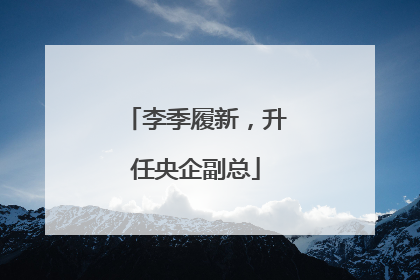 李季履新，升任央企副总