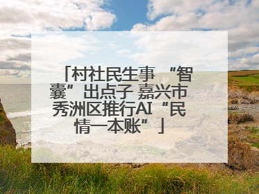 村社民生事 “智囊”出点子 嘉兴市秀洲区推行AI“民情一本账”
