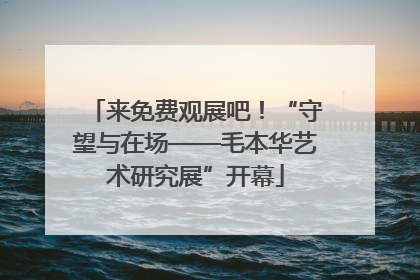 来免费观展吧！“守望与在场——毛本华艺术研究展”开幕