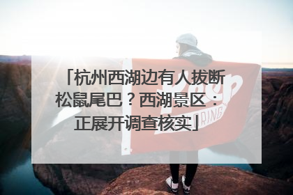 杭州西湖边有人拔断松鼠尾巴？西湖景区：正展开调查核实