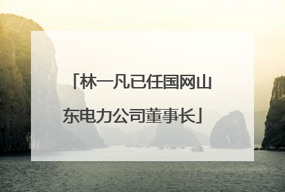林一凡已任国网山东电力公司董事长