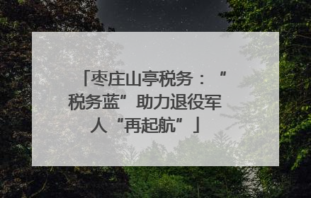 枣庄山亭税务：“税务蓝”助力退役军人“再起航”