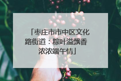 枣庄市市中区文化路街道：粽叶溢飘香 浓浓端午情