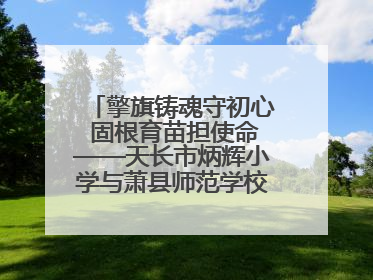 擎旗铸魂守初心 固根育苗担使命——天长市炳辉小学与萧县师范学校附属小学结对共建活动纪实