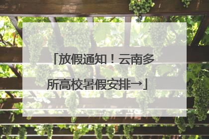 放假通知！云南多所高校暑假安排→