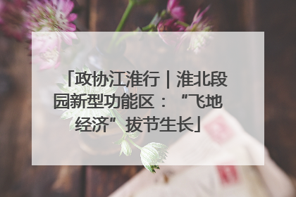 政协江淮行｜淮北段园新型功能区：“飞地经济”拔节生长