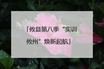 攸县第八季“实训攸州”焕新起航