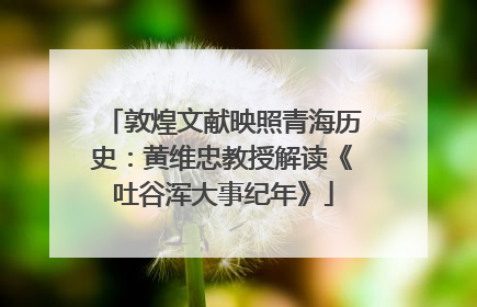敦煌文献映照青海历史：黄维忠教授解读《吐谷浑大事纪年》