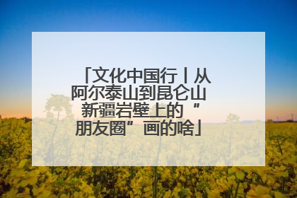 文化中国行丨从阿尔泰山到昆仑山 新疆岩壁上的“朋友圈”画的啥