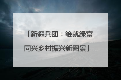 新疆兵团：绘就绿富同兴乡村振兴新图景