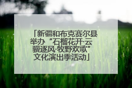 新疆和布克赛尔县举办“石榴花开·云骥逐风·牧野欢歌”文化演出季活动