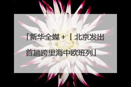 新华全媒＋丨北京发出首趟跨里海中欧班列