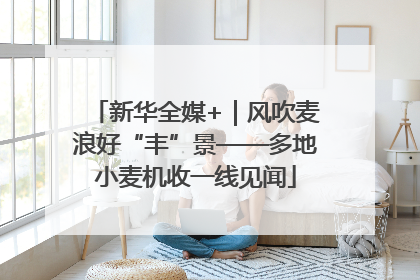 新华全媒+｜风吹麦浪好“丰”景——多地小麦机收一线见闻