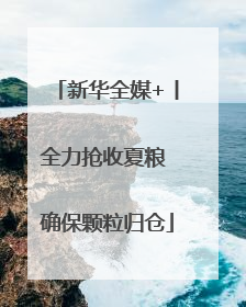 新华全媒+丨全力抢收夏粮 确保颗粒归仓