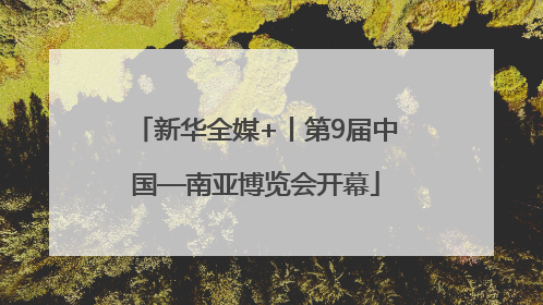 新华全媒+丨第9届中国—南亚博览会开幕