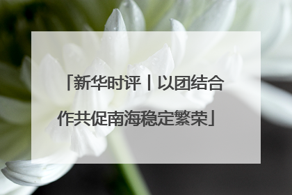 新华时评丨以团结合作共促南海稳定繁荣