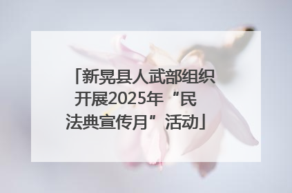 新晃县人武部组织开展2025年“民法典宣传月”活动