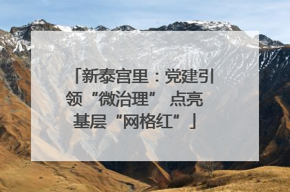 新泰宫里：党建引领“微治理” 点亮基层“网格红”