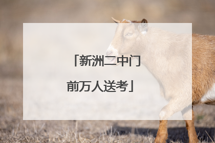 新洲二中门前万人送考