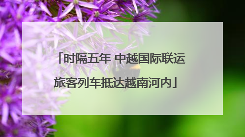 时隔五年 中越国际联运旅客列车抵达越南河内