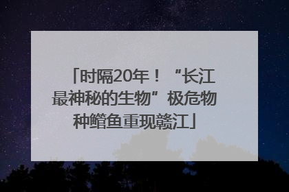 时隔20年！“长江最神秘的生物”极危物种鳤鱼重现赣江