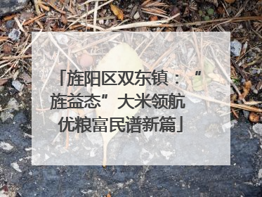 旌阳区双东镇：“旌益态”大米领航 优粮富民谱新篇