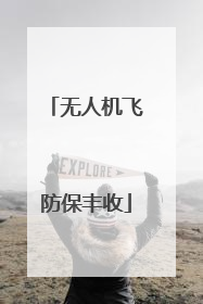 无人机飞防保丰收