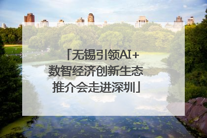 无锡引领AI+数智经济创新生态推介会走进深圳