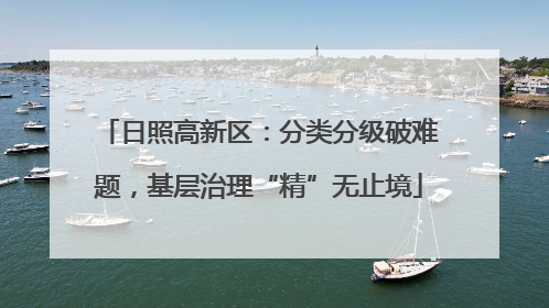 日照高新区：分类分级破难题，基层治理“精”无止境