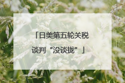 日美第五轮关税谈判“没谈拢”