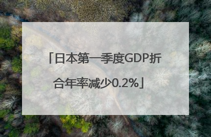 日本第一季度GDP折合年率减少0.2%