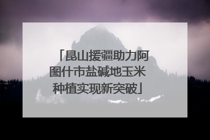 昆山援疆助力阿图什市盐碱地玉米种植实现新突破