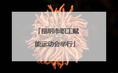 昆明市职工赋能运动会举行