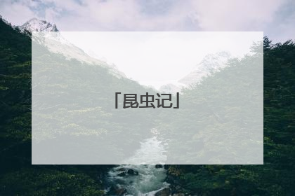 昆虫记