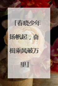 春晓少年扬帆起，奋楫乘风破万里