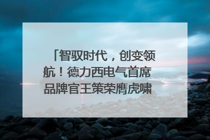 智驭时代，创变领航！德力西电气首席品牌官王策荣膺虎啸奖年度品牌人物