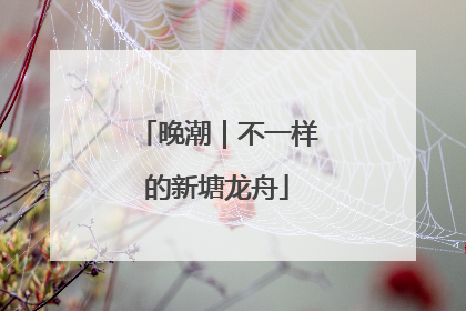 晚潮｜不一样的新塘龙舟