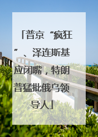普京“疯狂”、泽连斯基应闭嘴，特朗普猛批俄乌领导人