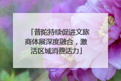 普陀持续促进文旅商体展深度融合，激活区域消费活力