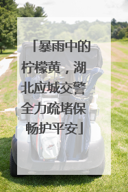暴雨中的柠檬黄，湖北应城交警全力疏堵保畅护平安