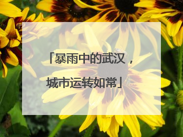 暴雨中的武汉，城市运转如常