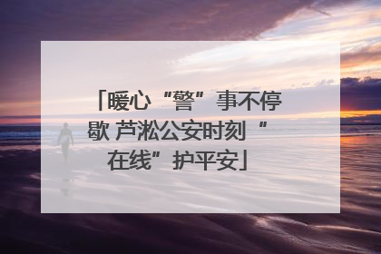 暖心“警”事不停歇 芦淞公安时刻“在线”护平安