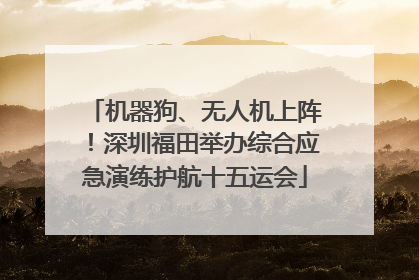 机器狗、无人机上阵！深圳福田举办综合应急演练护航十五运会