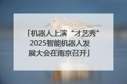 机器人上演“才艺秀” 2025智能机器人发展大会在南京召开