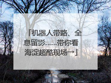 机器人带路、全息留影……带你看海淀超酷现场→