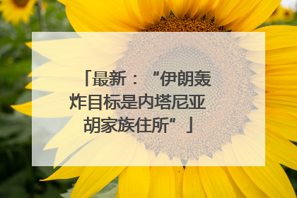 最新：“伊朗轰炸目标是内塔尼亚胡家族住所”